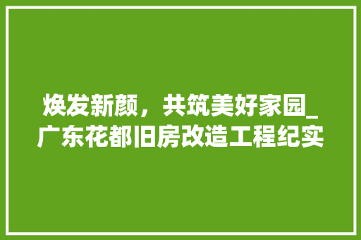 焕发新颜，共筑美好家园_广东花都旧房改造工程纪实