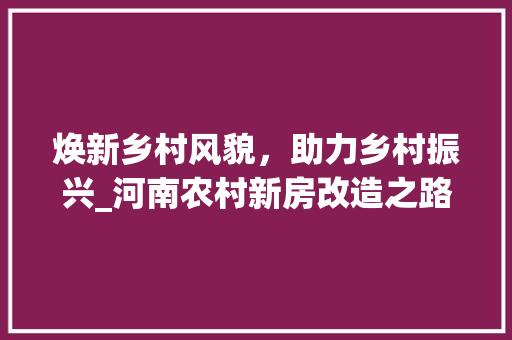 焕新乡村风貌，助力乡村振兴_河南农村新房改造之路