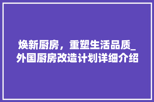 焕新厨房，重塑生活品质_外国厨房改造计划详细介绍