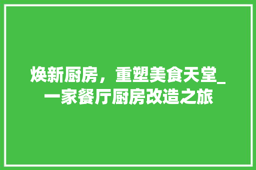 焕新厨房，重塑美食天堂_一家餐厅厨房改造之旅