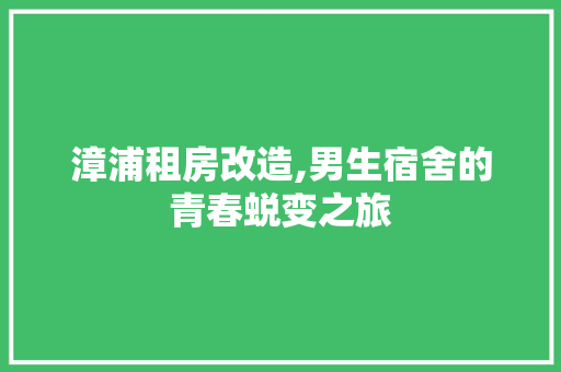 漳浦租房改造,男生宿舍的青春蜕变之旅