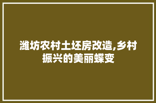潍坊农村土坯房改造,乡村振兴的美丽蝶变