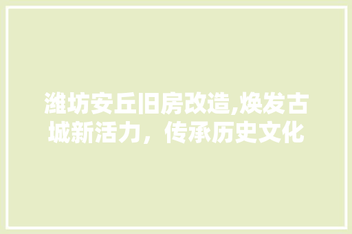 潍坊安丘旧房改造,焕发古城新活力，传承历史文化