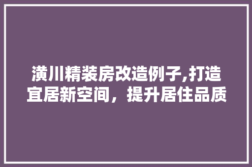 潢川精装房改造例子,打造宜居新空间，提升居住品质