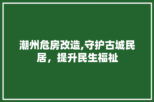 潮州危房改造,守护古城民居，提升民生福祉