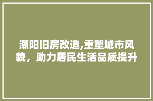 潮阳旧房改造,重塑城市风貌，助力居民生活品质提升