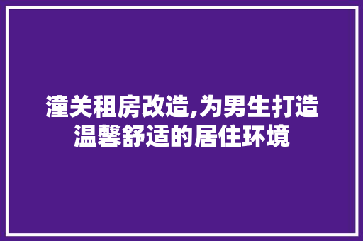 潼关租房改造,为男生打造温馨舒适的居住环境
