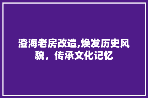 澄海老房改造,焕发历史风貌，传承文化记忆
