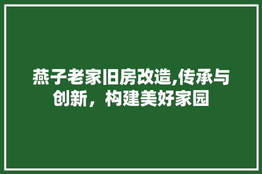 燕子老家旧房改造,传承与创新，构建美好家园