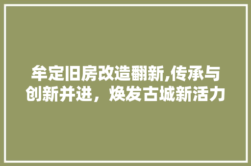 牟定旧房改造翻新,传承与创新并进，焕发古城新活力