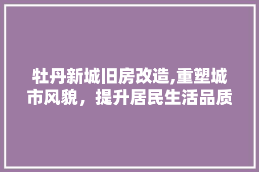 牡丹新城旧房改造,重塑城市风貌，提升居民生活品质