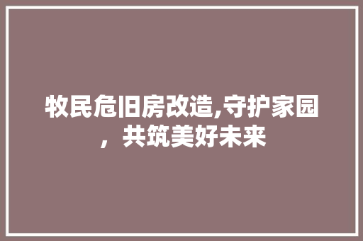 牧民危旧房改造,守护家园，共筑美好未来