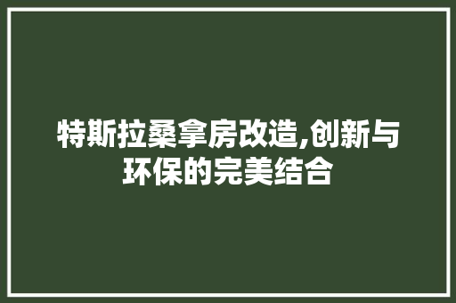 特斯拉桑拿房改造,创新与环保的完美结合