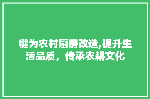 犍为农村厨房改造,提升生活品质，传承农耕文化