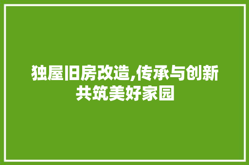 独屋旧房改造,传承与创新共筑美好家园
