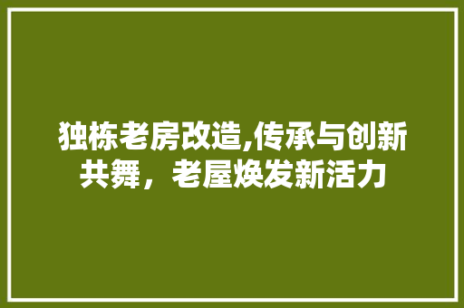 独栋老房改造,传承与创新共舞，老屋焕发新活力