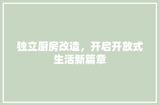 独立厨房改造，开启开放式生活新篇章