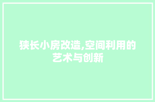 狭长小房改造,空间利用的艺术与创新
