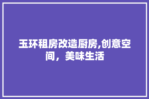玉环租房改造厨房,创意空间，美味生活