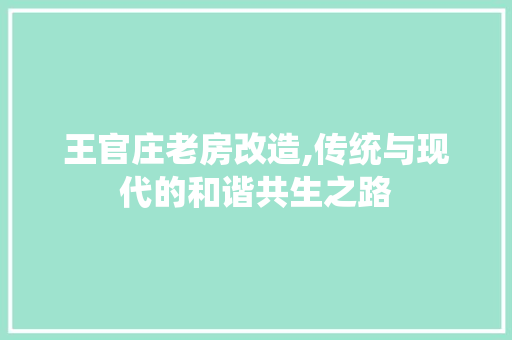 王官庄老房改造,传统与现代的和谐共生之路
