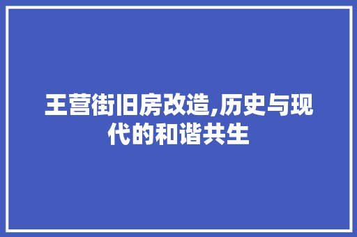 王营街旧房改造,历史与现代的和谐共生