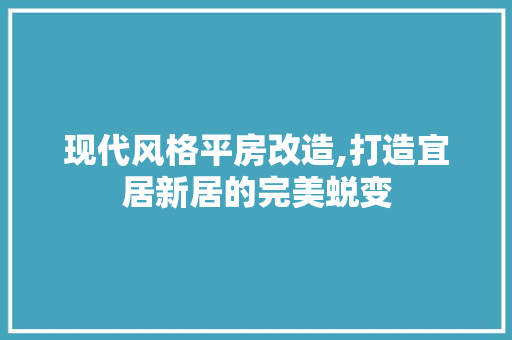 现代风格平房改造,打造宜居新居的完美蜕变
