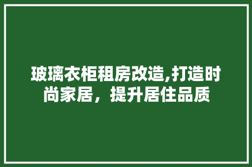 玻璃衣柜租房改造,打造时尚家居，提升居住品质