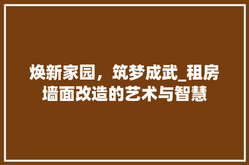 焕新家园，筑梦成武_租房墙面改造的艺术与智慧