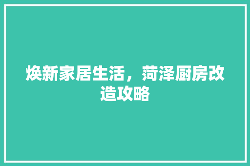 焕新家居生活，菏泽厨房改造攻略