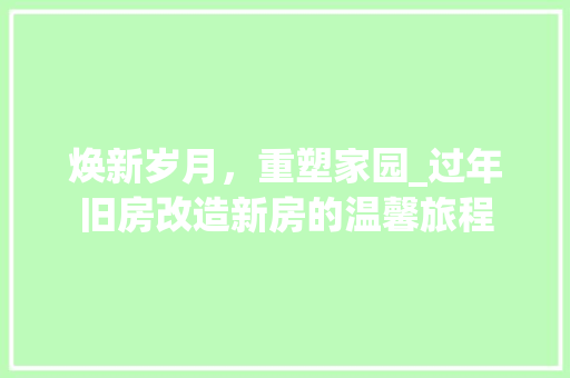 焕新岁月，重塑家园_过年旧房改造新房的温馨旅程