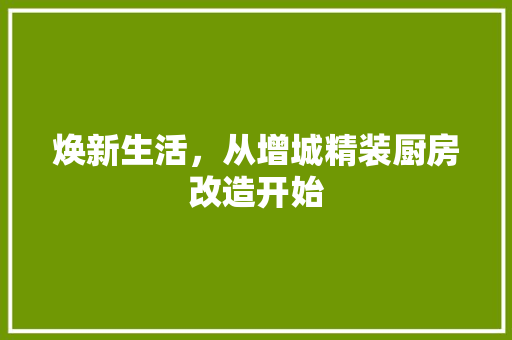 焕新生活，从增城精装厨房改造开始