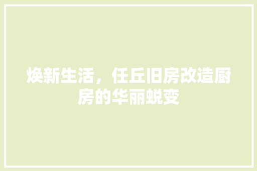 焕新生活，任丘旧房改造厨房的华丽蜕变