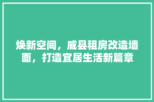 焕新空间，威县租房改造墙面，打造宜居生活新篇章