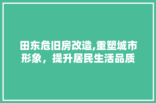 田东危旧房改造,重塑城市形象，提升居民生活品质