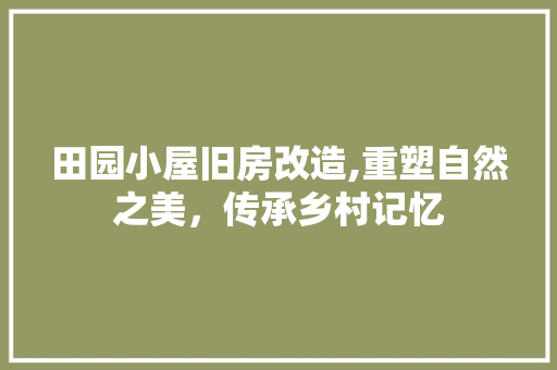 田园小屋旧房改造,重塑自然之美，传承乡村记忆