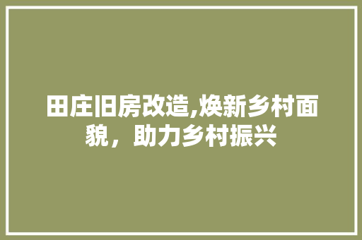 田庄旧房改造,焕新乡村面貌，助力乡村振兴