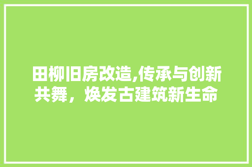 田柳旧房改造,传承与创新共舞，焕发古建筑新生命
