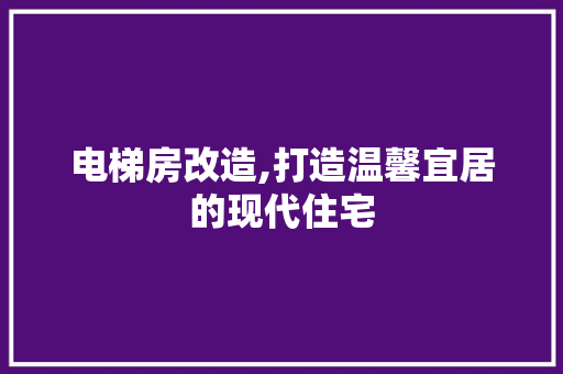 电梯房改造,打造温馨宜居的现代住宅