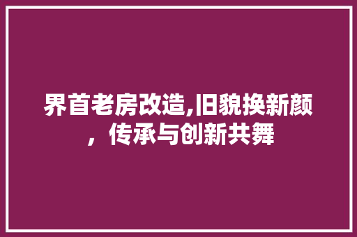 界首老房改造,旧貌换新颜，传承与创新共舞
