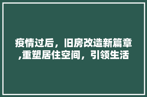 疫情过后，旧房改造新篇章,重塑居住空间，引领生活品质提升