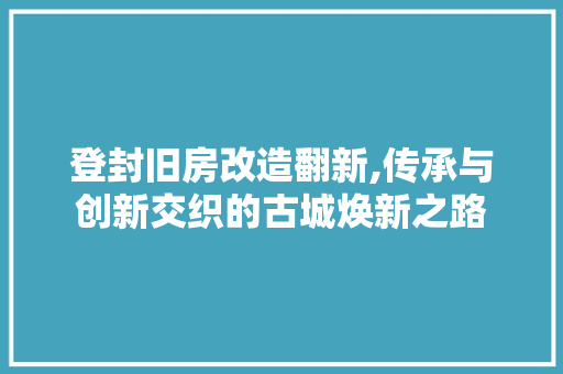 登封旧房改造翻新,传承与创新交织的古城焕新之路