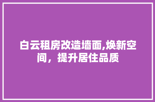 白云租房改造墙面,焕新空间，提升居住品质