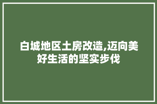 白城地区土房改造,迈向美好生活的坚实步伐