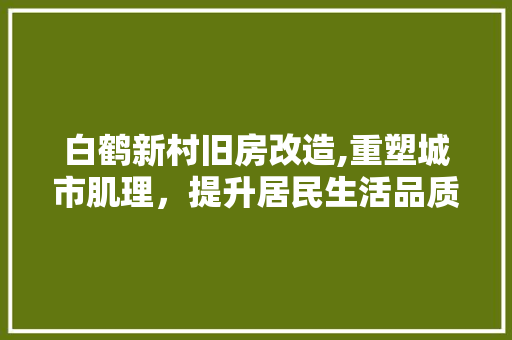 白鹤新村旧房改造,重塑城市肌理，提升居民生活品质