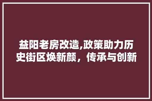 益阳老房改造,政策助力历史街区焕新颜，传承与创新共融共生