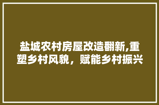 盐城农村房屋改造翻新,重塑乡村风貌，赋能乡村振兴