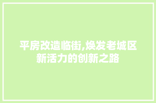 平房改造临街,焕发老城区新活力的创新之路