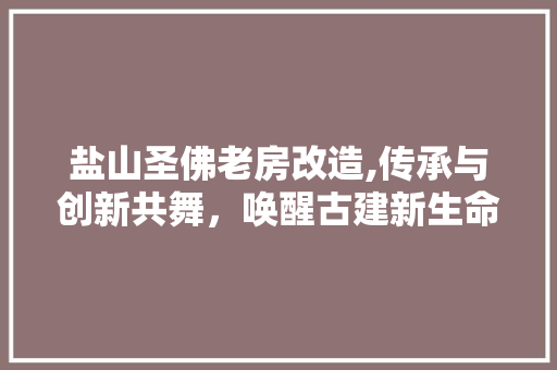 盐山圣佛老房改造,传承与创新共舞，唤醒古建新生命
