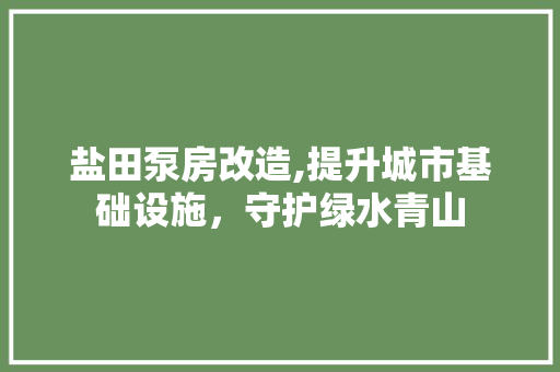 盐田泵房改造,提升城市基础设施，守护绿水青山