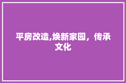 平房改造,焕新家园，传承文化